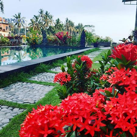 Villa Popolan And Guest House Ubud Extérieur photo