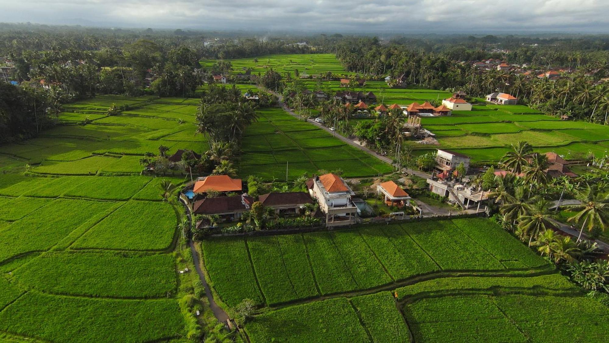 Villa Popolan And Guest House Ubud Extérieur photo